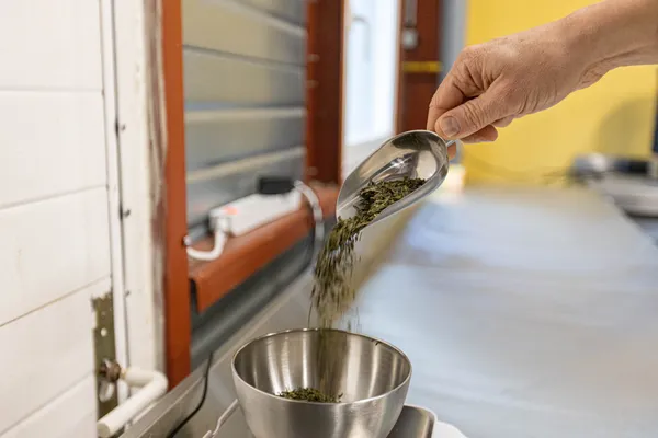 Réalisez vos cinq litres de kombucha avec Jérémy - Afbeelding nr. 3 - Wecandoo