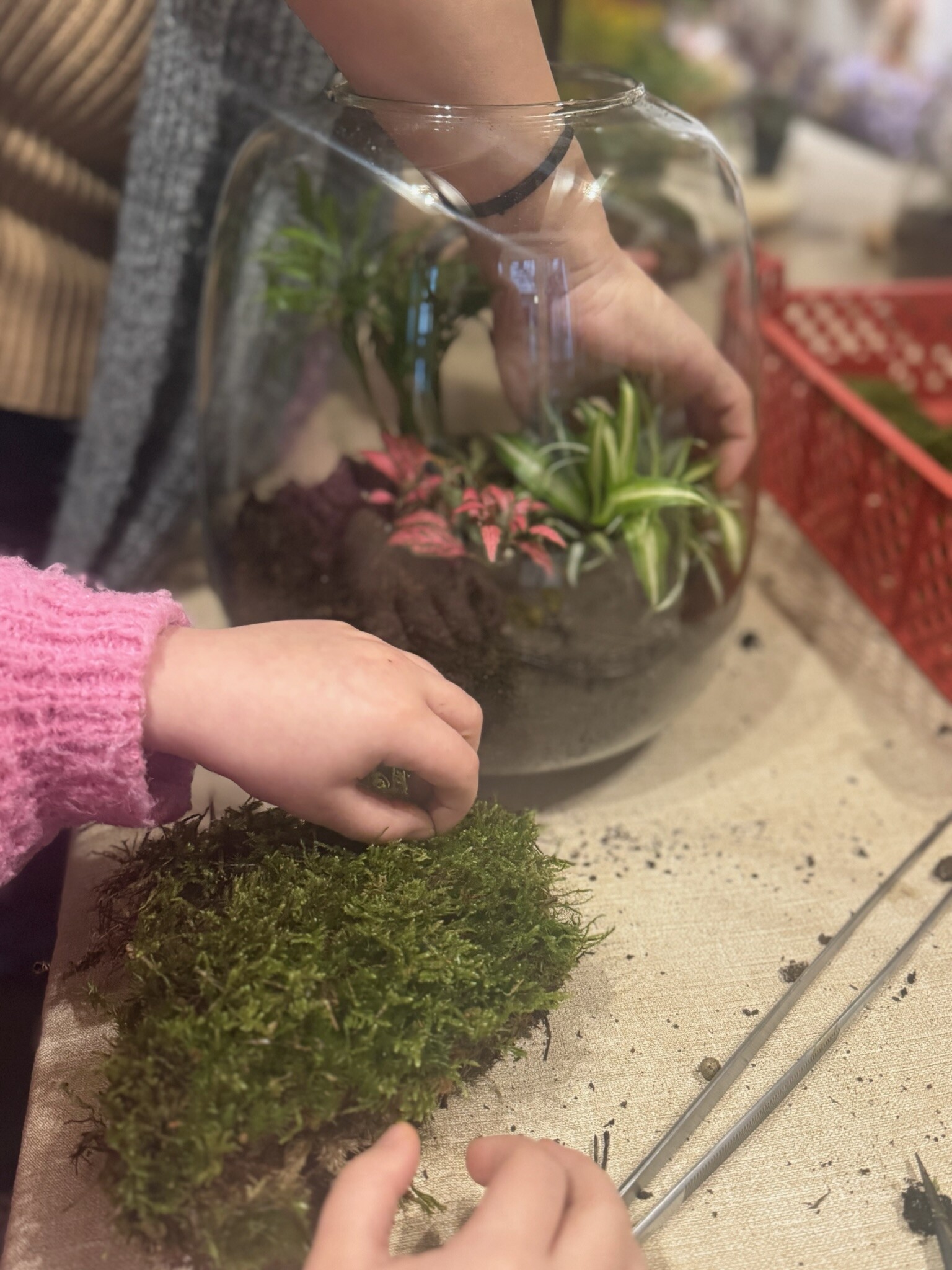 Wecandoo - Créez votre terrarium en famille - Image n°8