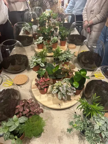 Créez votre terrarium en famille