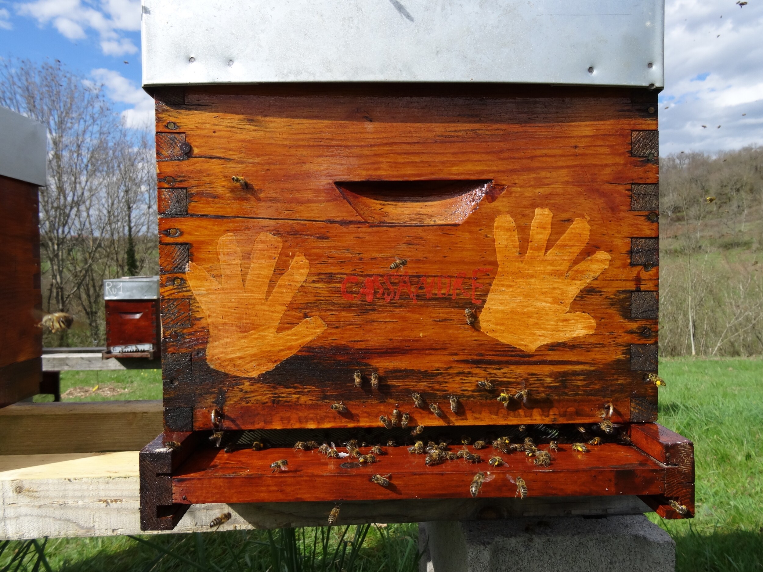 Découvrez l'apiculture en duo avec votre enfant à Clermont-Ferrand