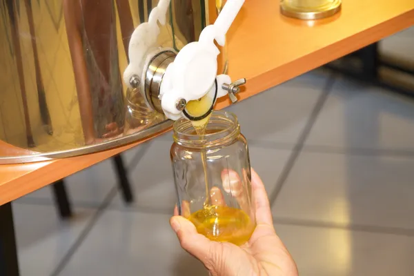 Découvrez l'apiculture en duo avec votre enfant accompagnés par Jérôme - Image n°3 - Wecandoo