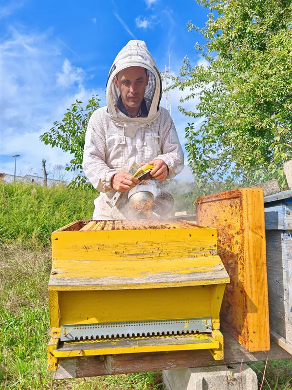 Découvrez l'apiculture en duo avec votre enfant accompagnés par Jérôme - Image n°2 - Wecandoo
