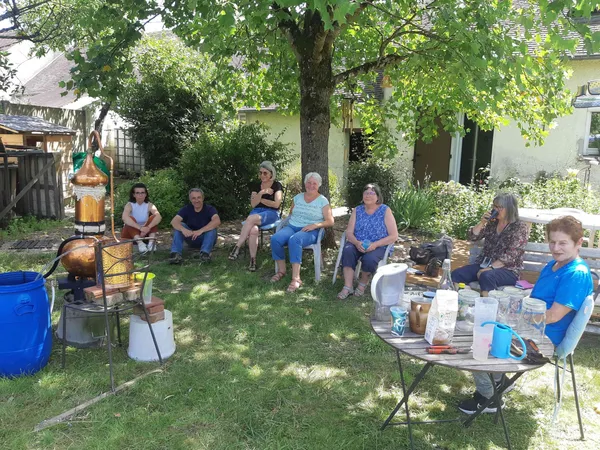 Découvrez la distillation de plantes sauvages avec Jennifer - Image n°5 - Wecandoo