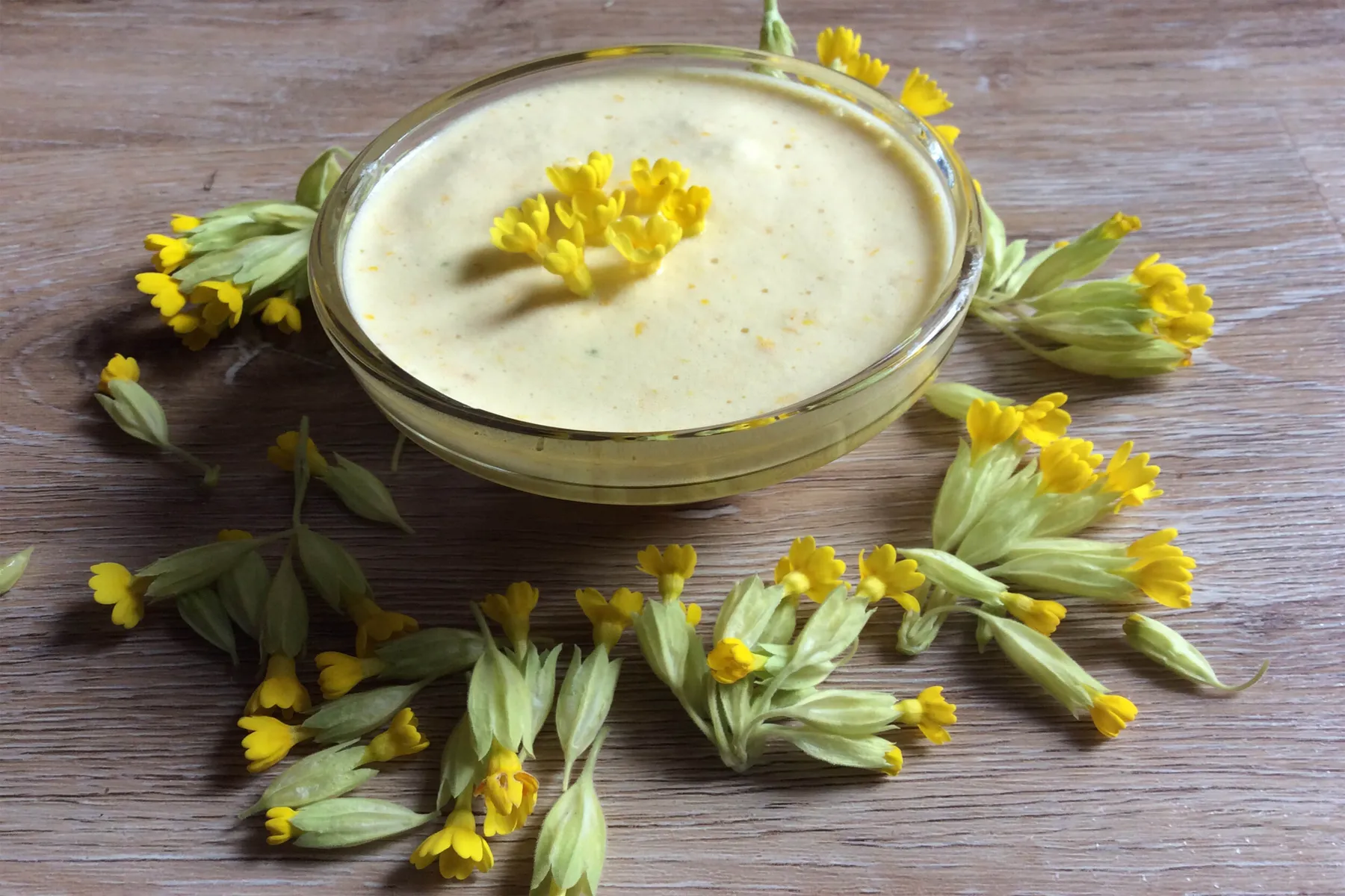 Cuisinez les plantes sauvages avec Jennifer - Image n°1 - Wecandoo