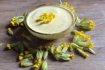 Cuisinez les plantes sauvages