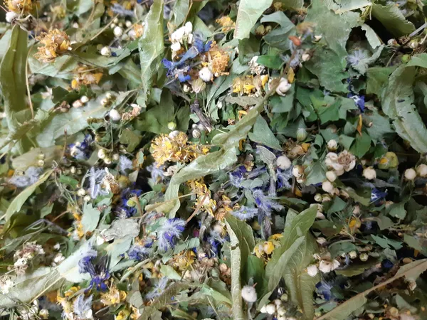 Composez votre tisane à base de plantes avec Jennifer - Image n°5 - Wecandoo