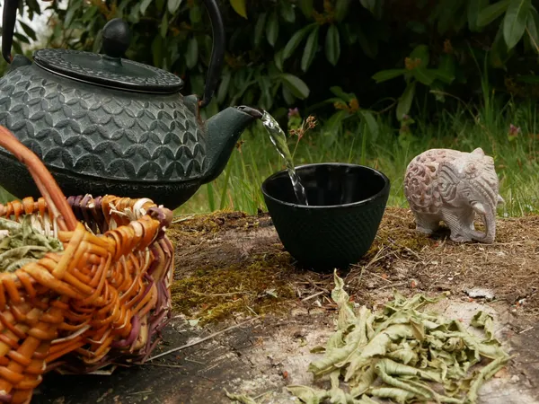 Composez votre tisane à base de plantes avec Jennifer - Image n°4 - Wecandoo