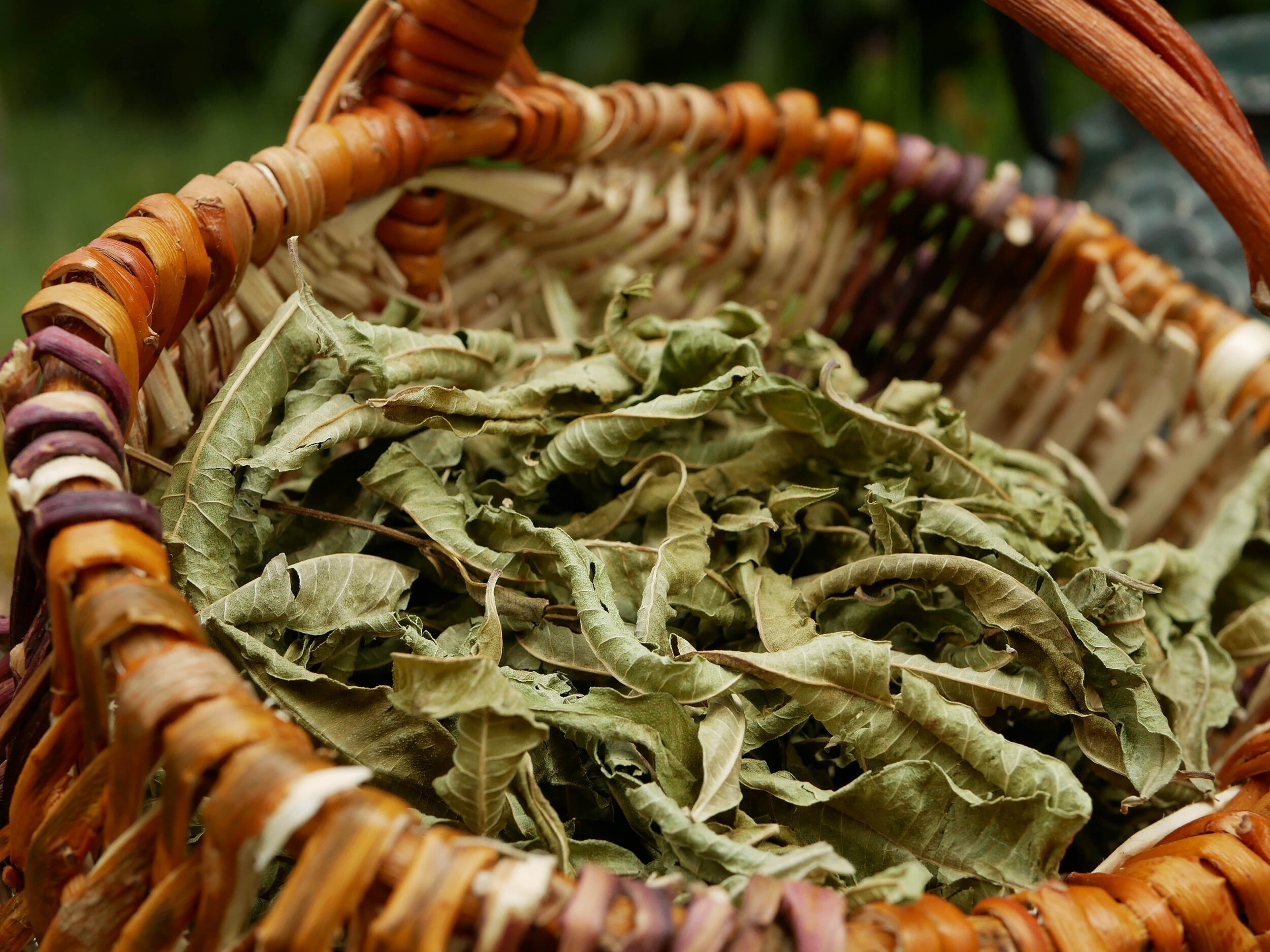 Wecandoo - Composez votre tisane à base de plantes avec Jennifer - Image n°1