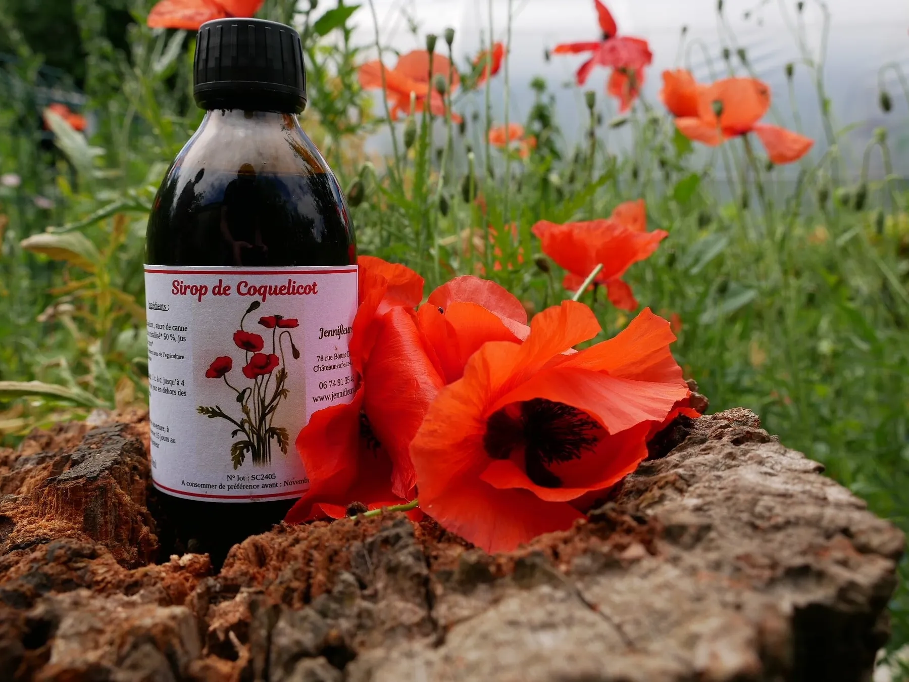 Réalisez votre sirop naturel à base de plantes fraîches avec Jennifer - Image n°4 - Wecandoo