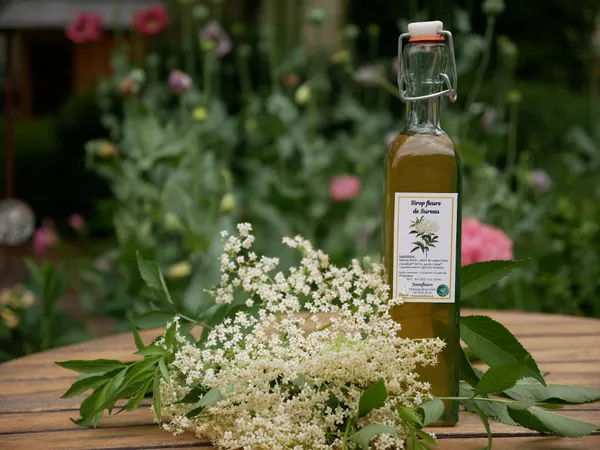 Réalisez votre sirop naturel à base de plantes fraîches avec Jennifer - Afbeelding nr. 3 - Wecandoo