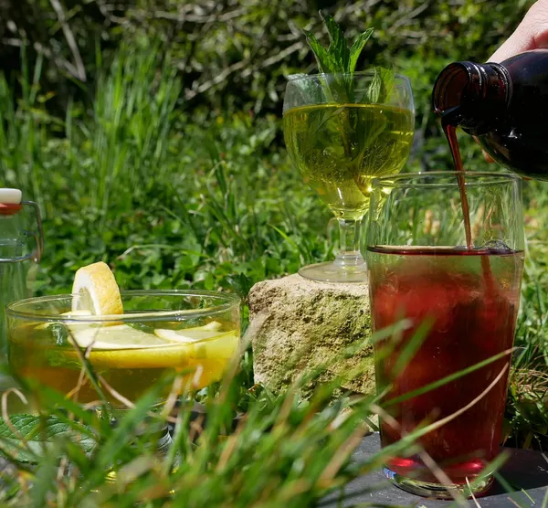 Réalisez votre sirop naturel à base de plantes fraîches avec Jennifer - Afbeelding nr. 5 - Wecandoo