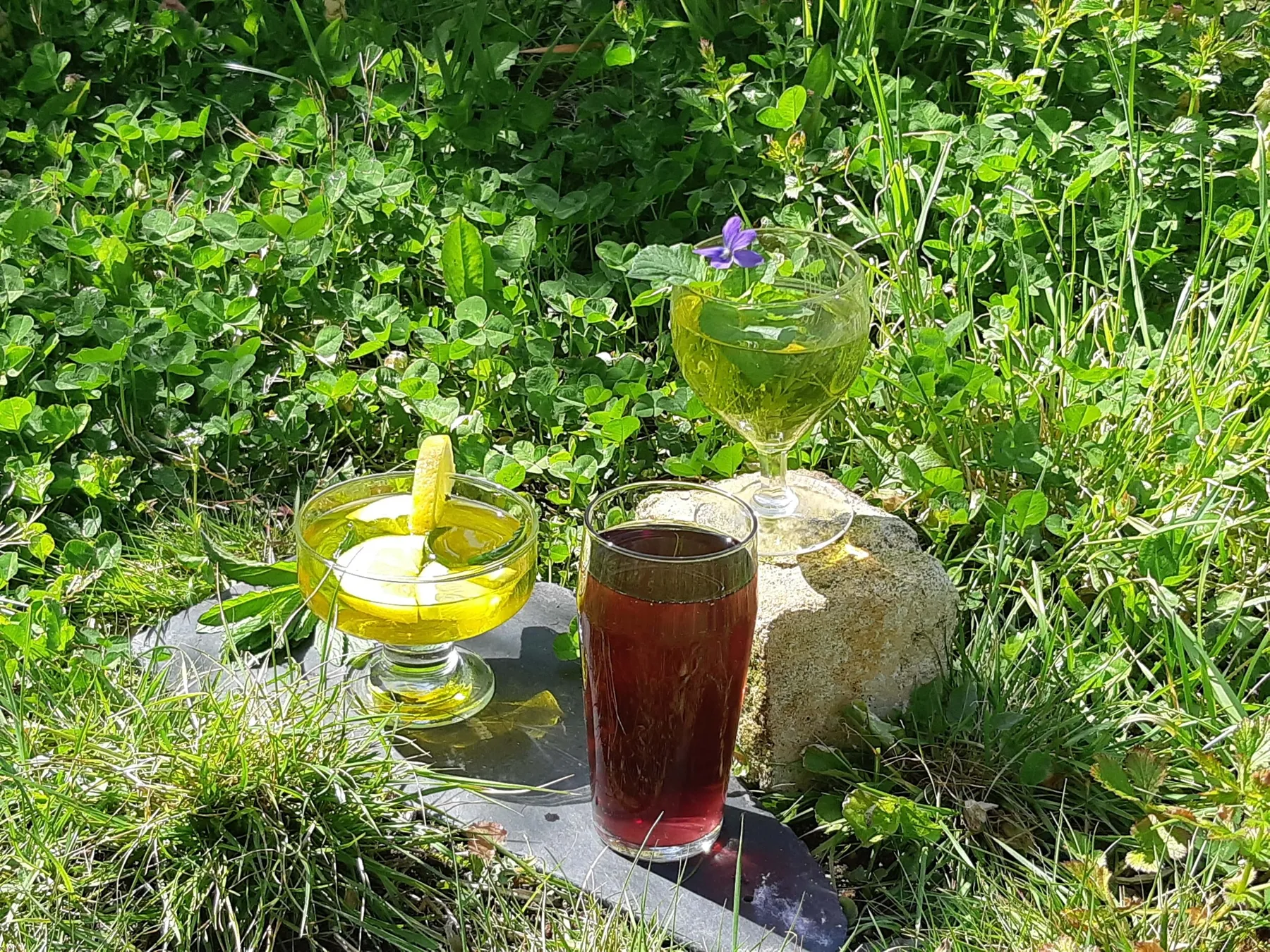 Réalisez votre sirop naturel à base de plantes fraîches avec Jennifer - Image n°2 - Wecandoo