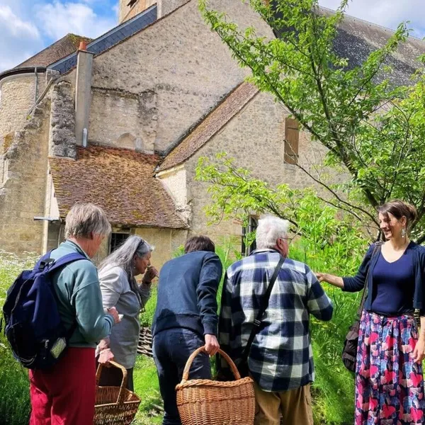 Découvrez les plantes sauvages le temps d'une balade avec Jennifer - Afbeelding nr. 3 - Wecandoo