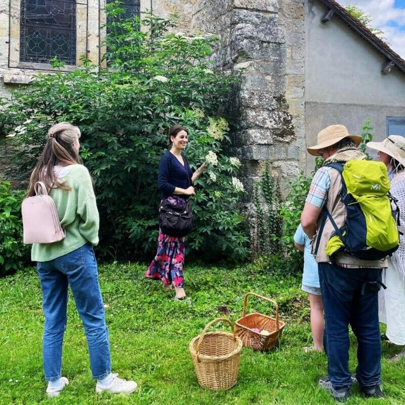 Wecandoo - Découvrez les plantes sauvages le temps d'une balade avec Jennifer - Image n°4