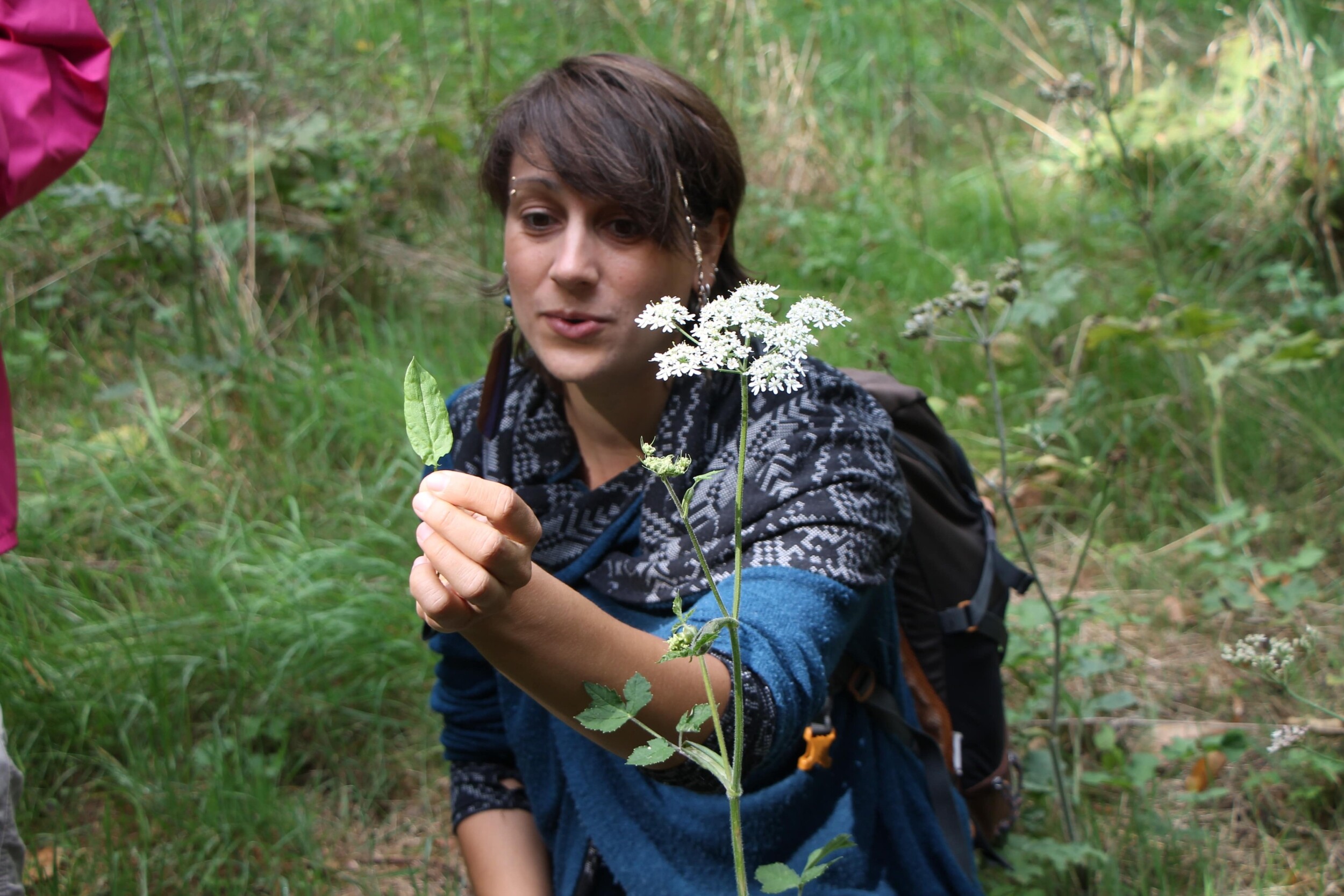 Wecandoo - Découvrez les plantes sauvages le temps d'une balade avec Jennifer - Image n°2