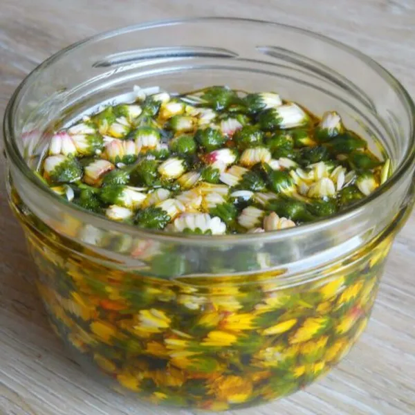 Réalisez vos cosmétiques naturels à base de plantes sauvages avec Jennifer - Image n°4 - Wecandoo