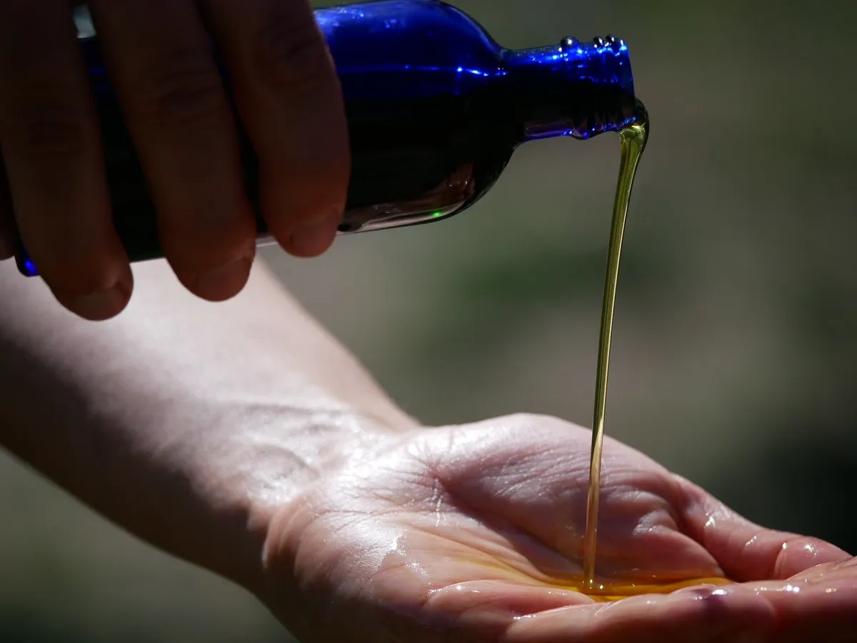 Réalisez vos cosmétiques aux plantes sauvages