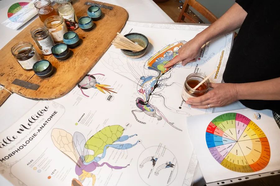 Réunissez votre équipe et plongez au cœur de l’univers fascinant des abeilles avec Dieter - Image n°1 - Wecandoo