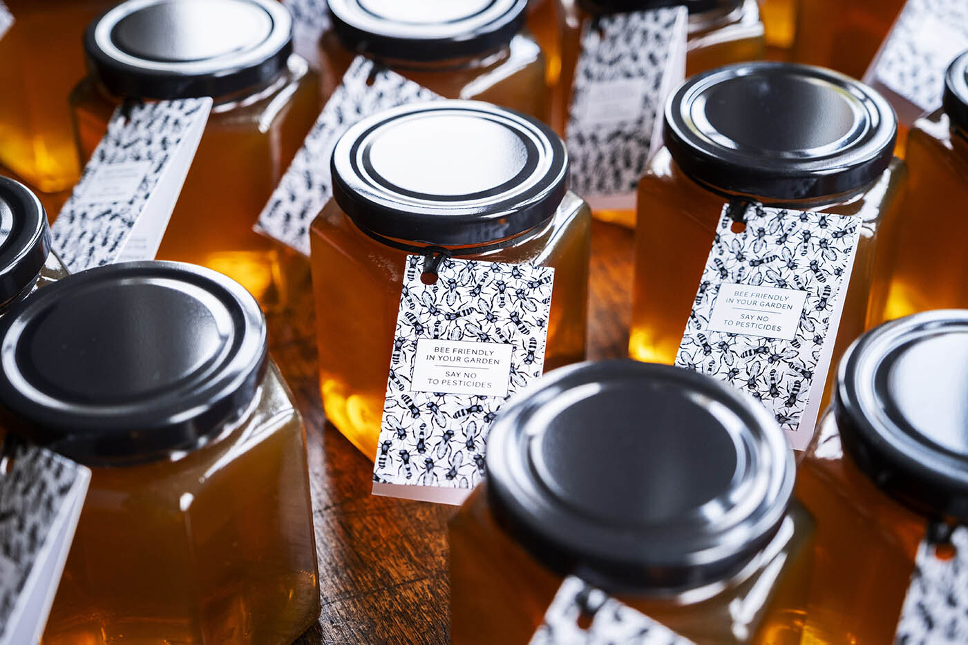 Immerse your team in the fascinating world of bees