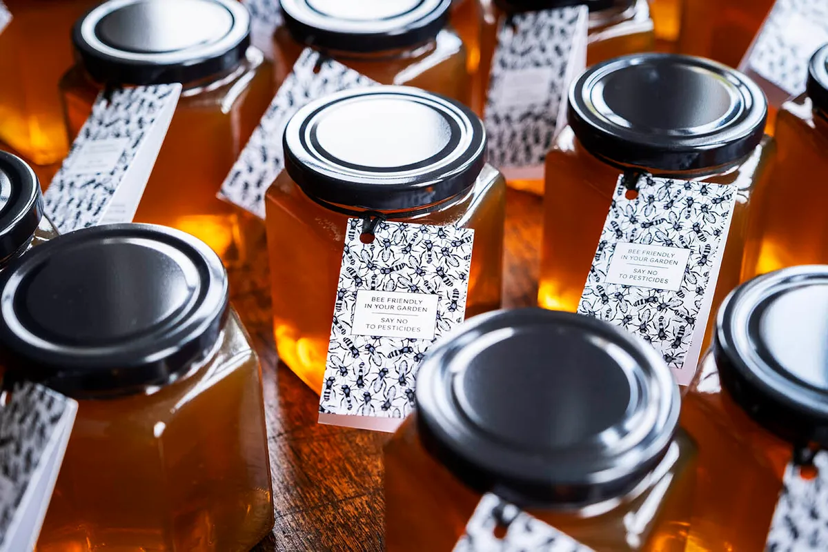 Immerse your team in the fascinating world of bees