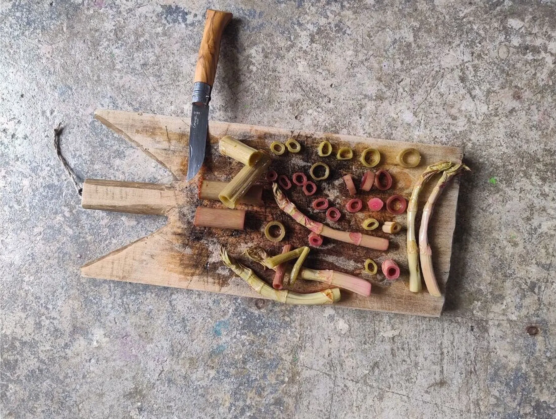 Découvrez et cuisinez des saveurs inconnues et des plantes sauvages sur une journée à Nantes avec Milena et Anna - Image n°4 - Wecandoo