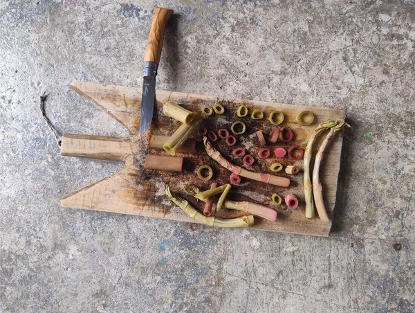 Découvrez et cuisinez des saveurs inconnues et des plantes sauvages sur une journée à Nantes avec Milena et Anna - Image n°4 - Wecandoo