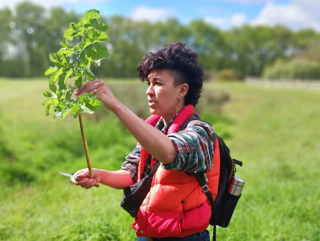 Wecandoo - Découvrez et cuisinez des plantes sauvages sur une journée avec Milena et Anna - Image n°7