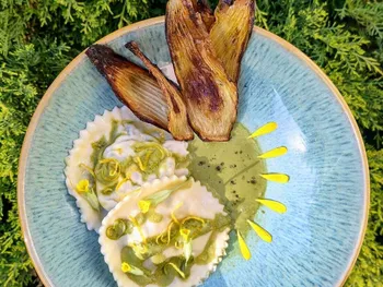 Cuisinez des plantes sauvages sur une journée