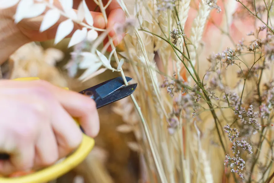 Réalisez votre bouquet de fleurs séchées avec Hélène, Fred et Marion - Image n°1 - Wecandoo