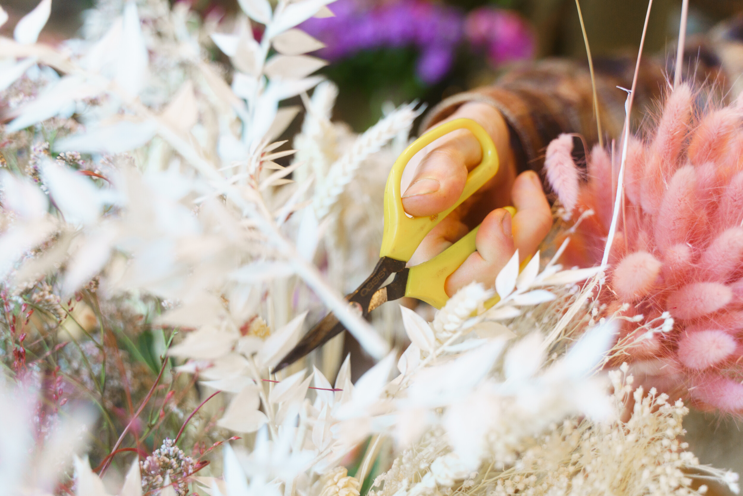 Wecandoo - Réalisez votre bouquet de fleurs séchées avec Hélène, Fred et Marion - Image n°9