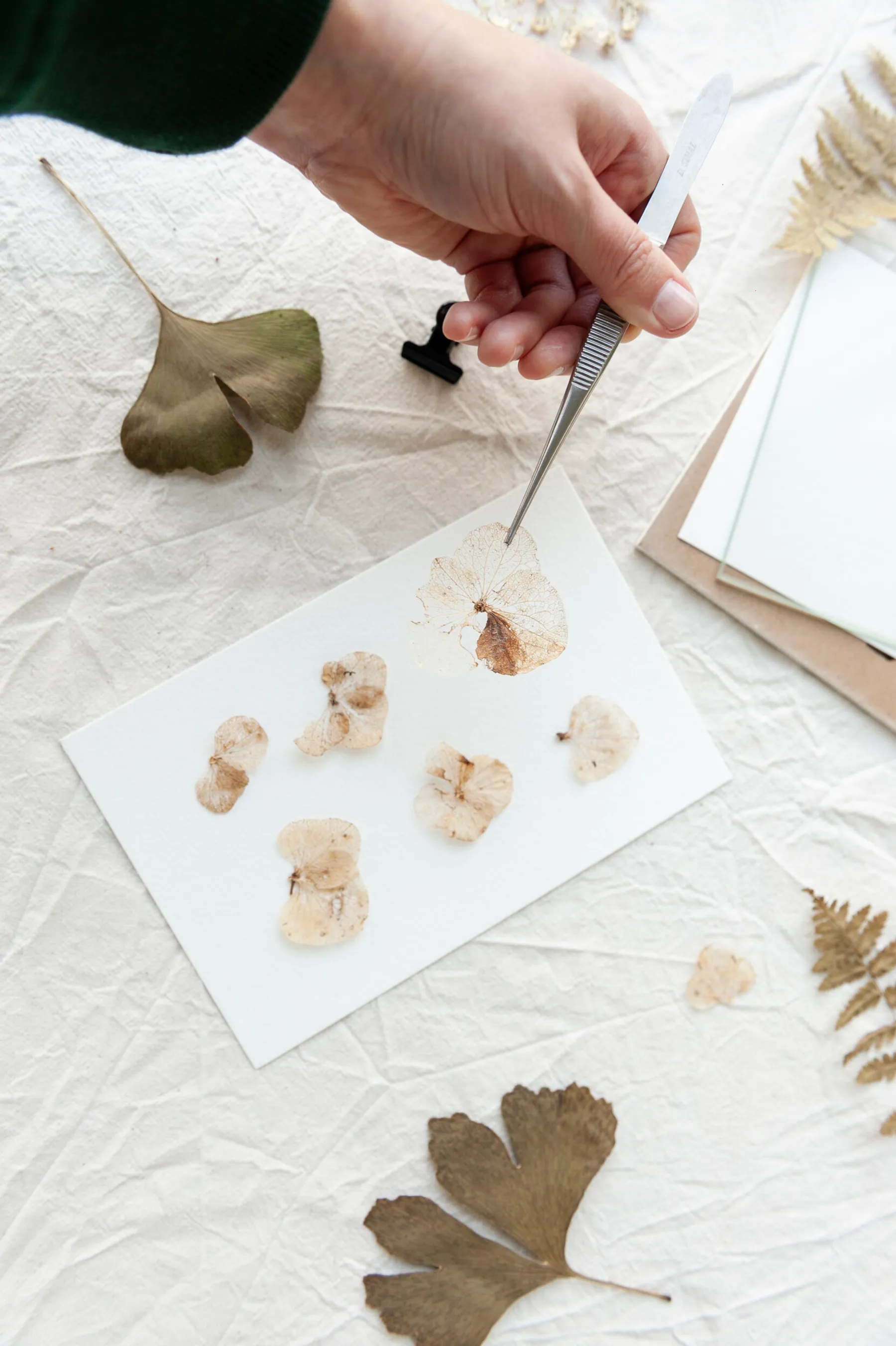 Initiez-vous à l'impression cyanotype avec Laurie-Anne - Afbeelding nr. 5 - Wecandoo