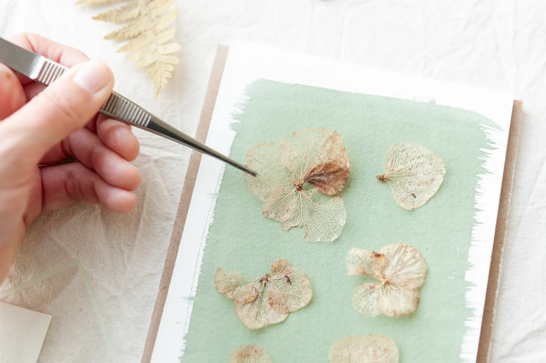 Initiez-vous à l'impression cyanotype avec Laurie-Anne - Afbeelding nr. 3 - Wecandoo