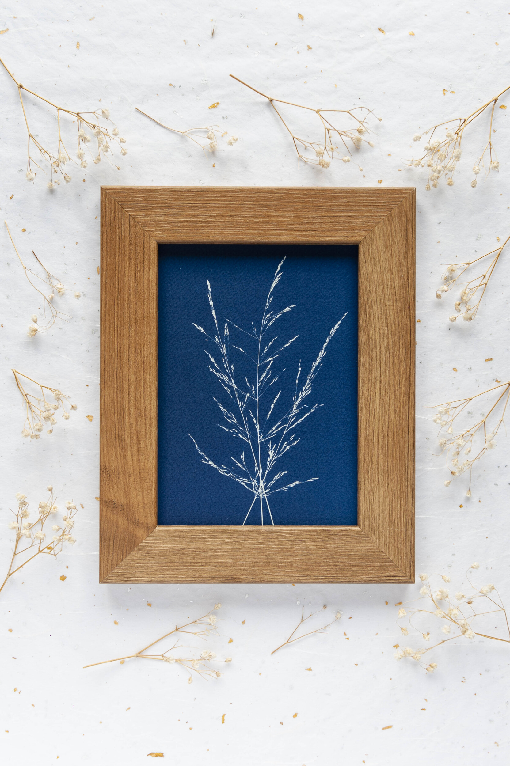 Initiez-vous à l'impression cyanotype