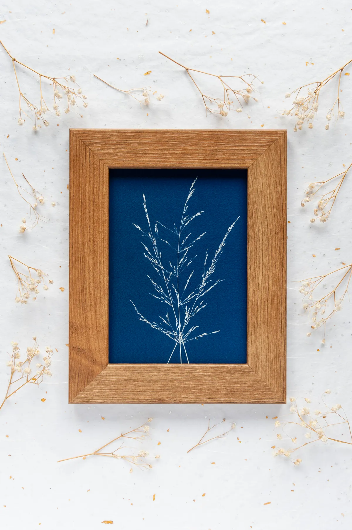 Initiez-vous à l'impression cyanotype