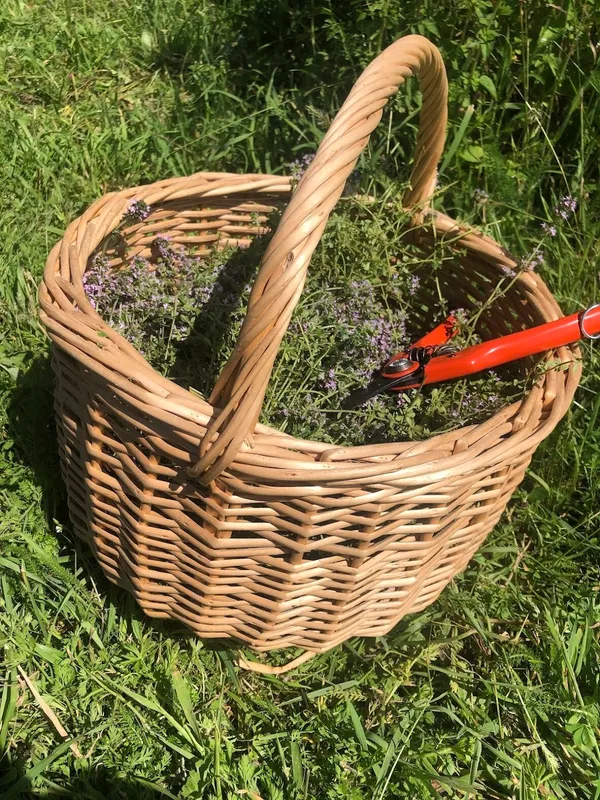 Plonger dans l'univers des plantes et des infusions avec Juliette - Image n°2 - Wecandoo