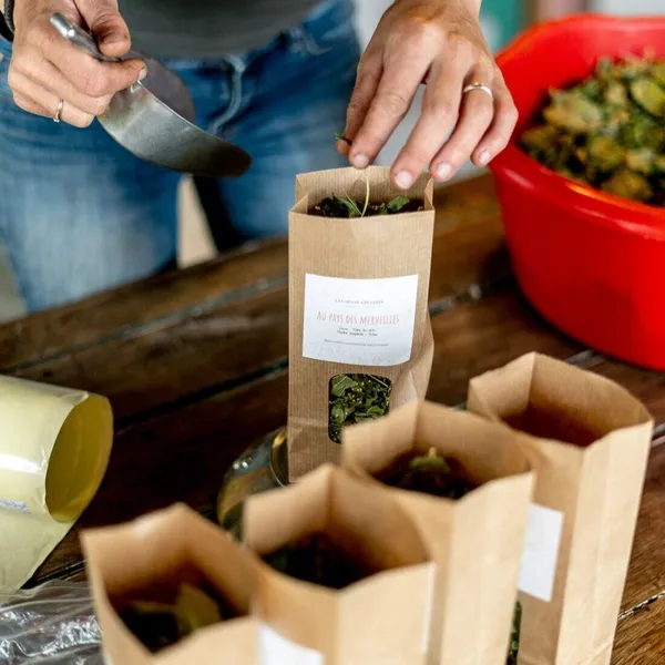 Plonger dans l'univers des plantes et des infusions avec Juliette - Image n°4 - Wecandoo