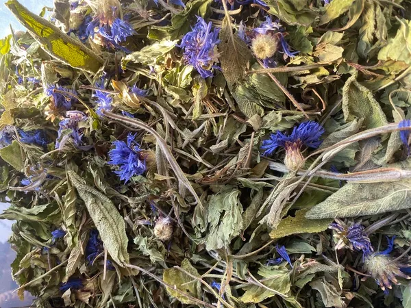 Plonger dans l'univers des plantes et des infusions avec Juliette - Image n°5 - Wecandoo