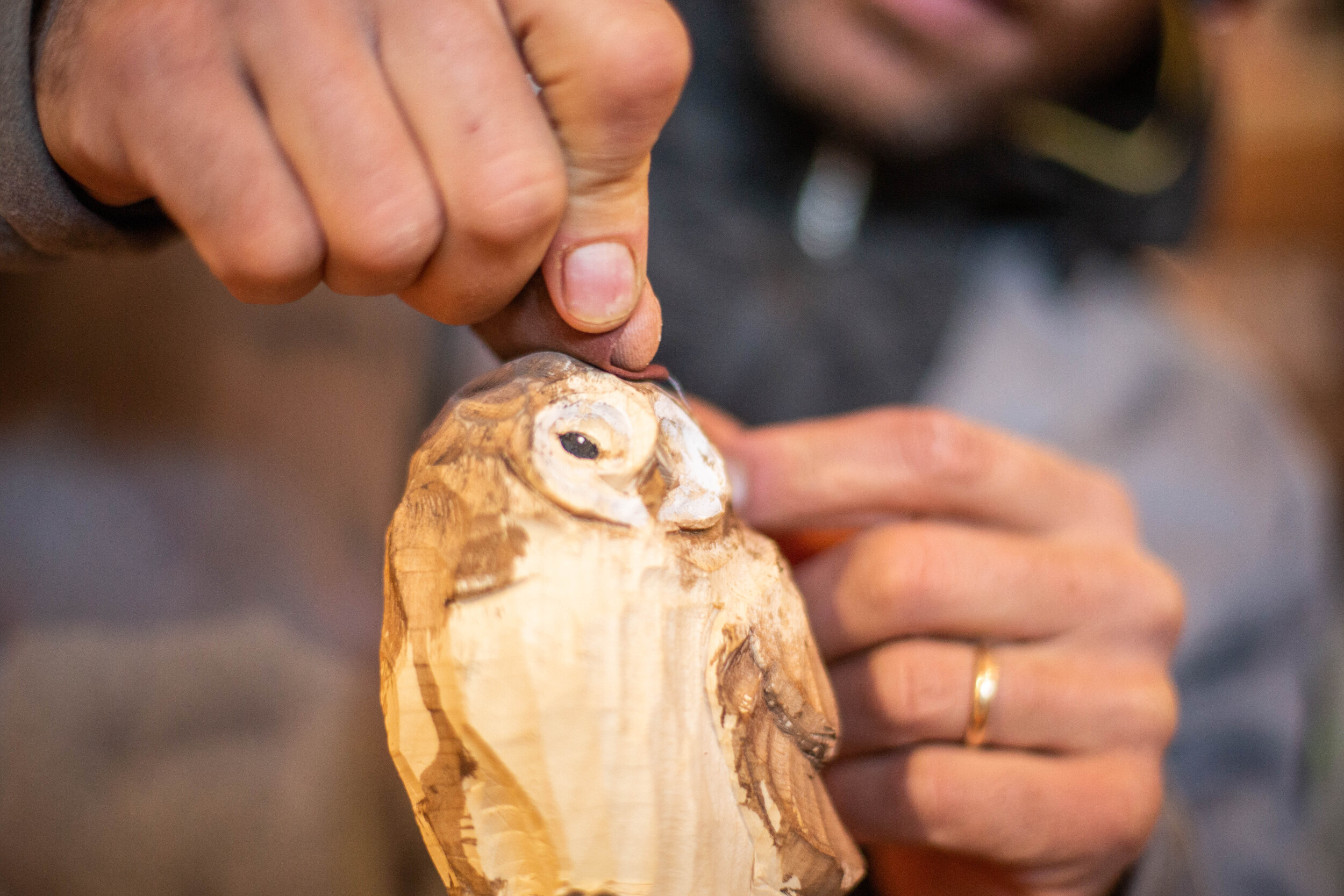 Wecandoo - Initiez-vous à la sculpture animalière sur bois avec Emy - Image n°6