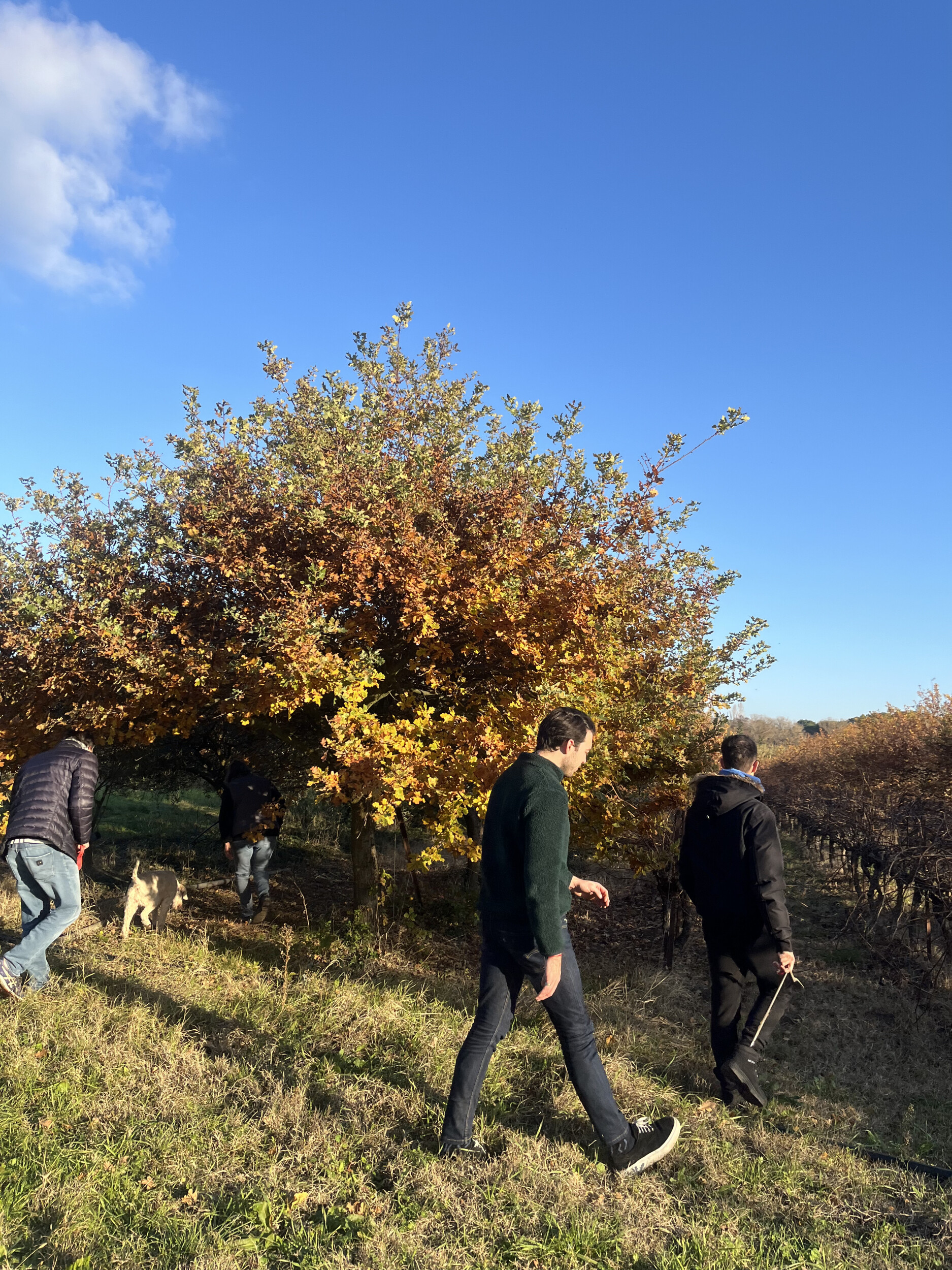 Wecandoo - Visitez une truffière et dégustez des accords truffes & vins avec Guillaume et Maxime - Image n°6