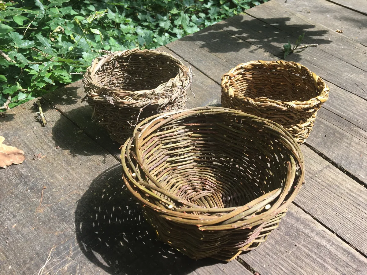 Découvrez la vannerie à partir de votre cueillette