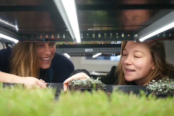 Réalisez vos semis de micropousses avec Mathilde et Laura - Image n°2 - Wecandoo