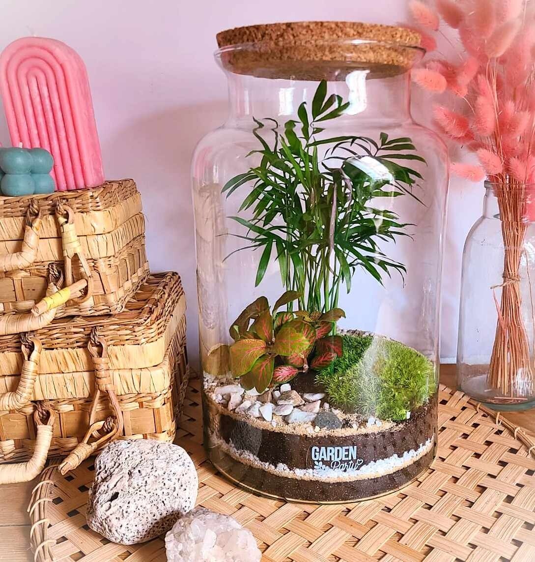 Réalisez votre terrarium de taille M à Strasbourg