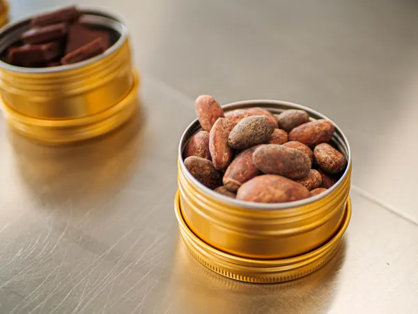 Initiez-vous à la chocolaterie en famille accompagnés par Aurélien - Image n°2 - Wecandoo