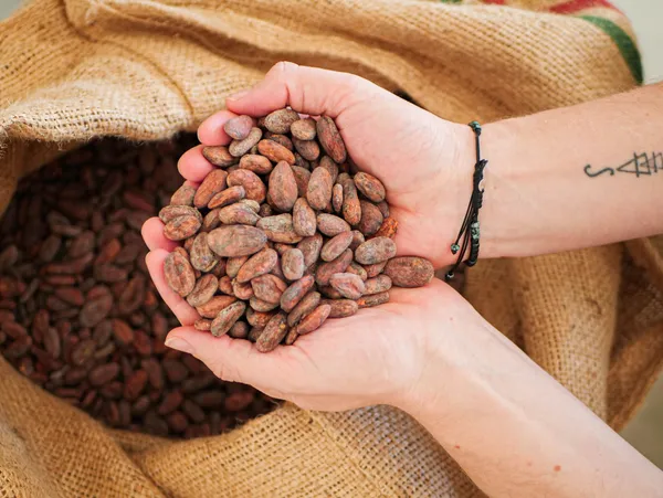 Apprenez à déguster le chocolat avec Aurélien - Image n°1 - Wecandoo