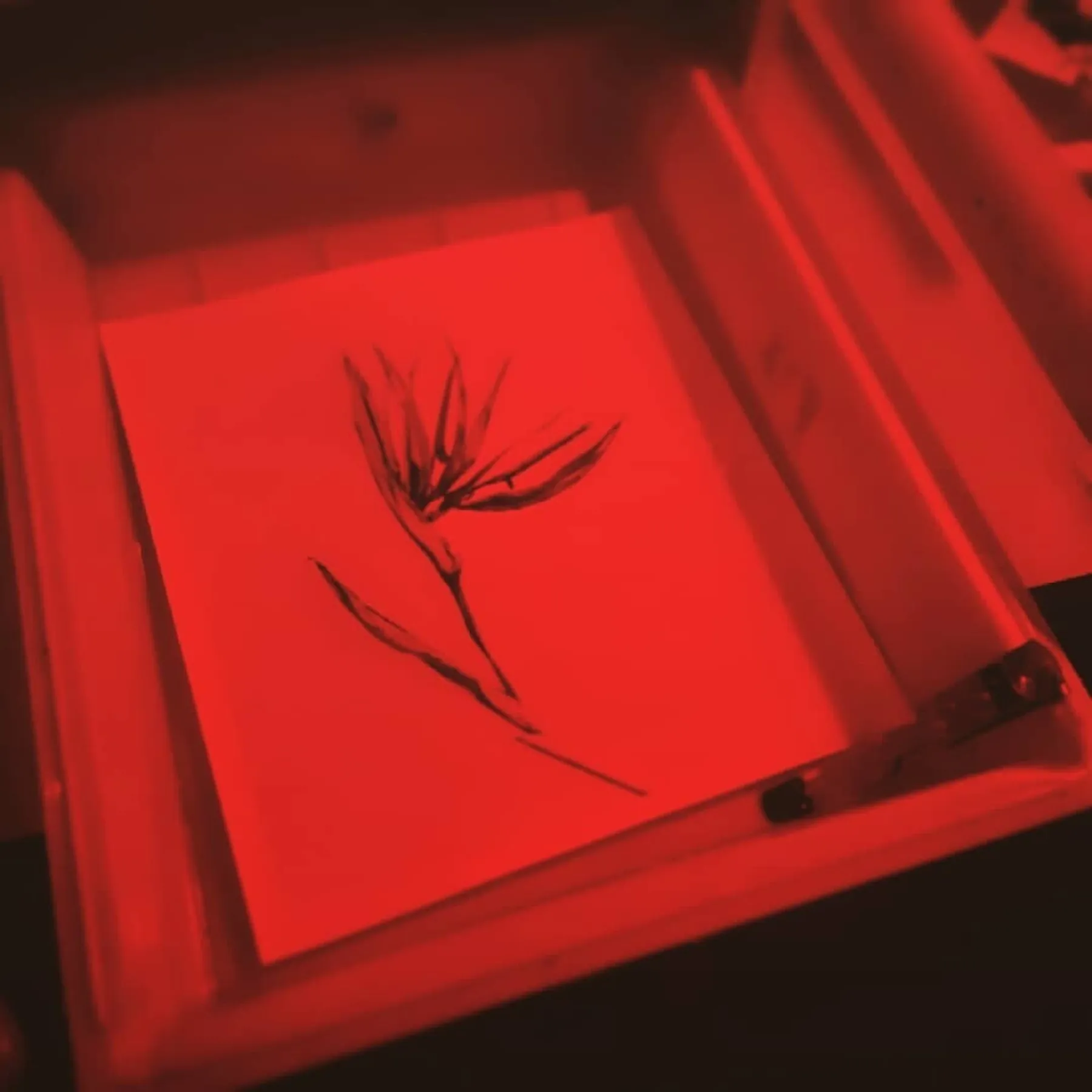 Initiez-vous au tirage de l'argentique en noir et blanc - Image n°4 - Wecandoo