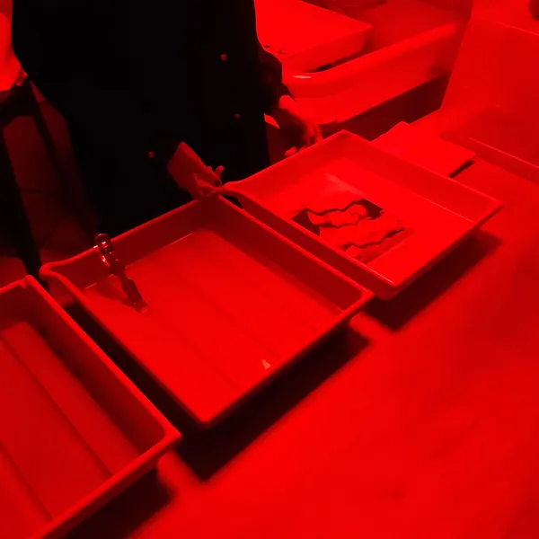 Initiez-vous au tirage argentique noir et blanc auprès d'un tireur de profession - Image n°1 - Wecandoo