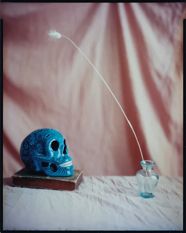 Photographiez votre objet préféré et faites-en le tirage - Image n°2 - Wecandoo