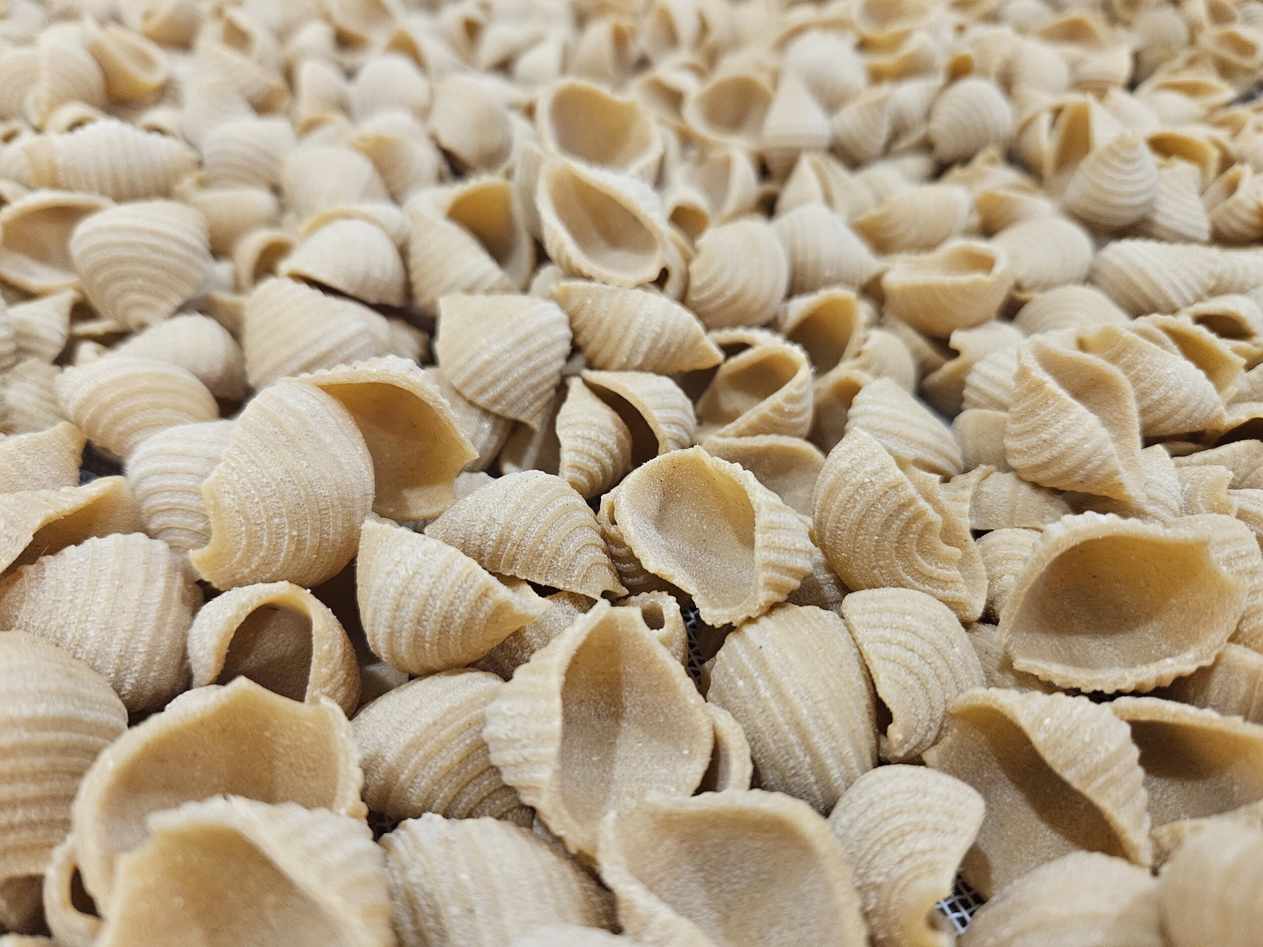 Réalisez vos pâtes artisanales à Paris