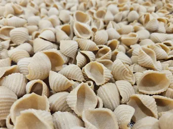 Réalisez vos pâtes artisanales