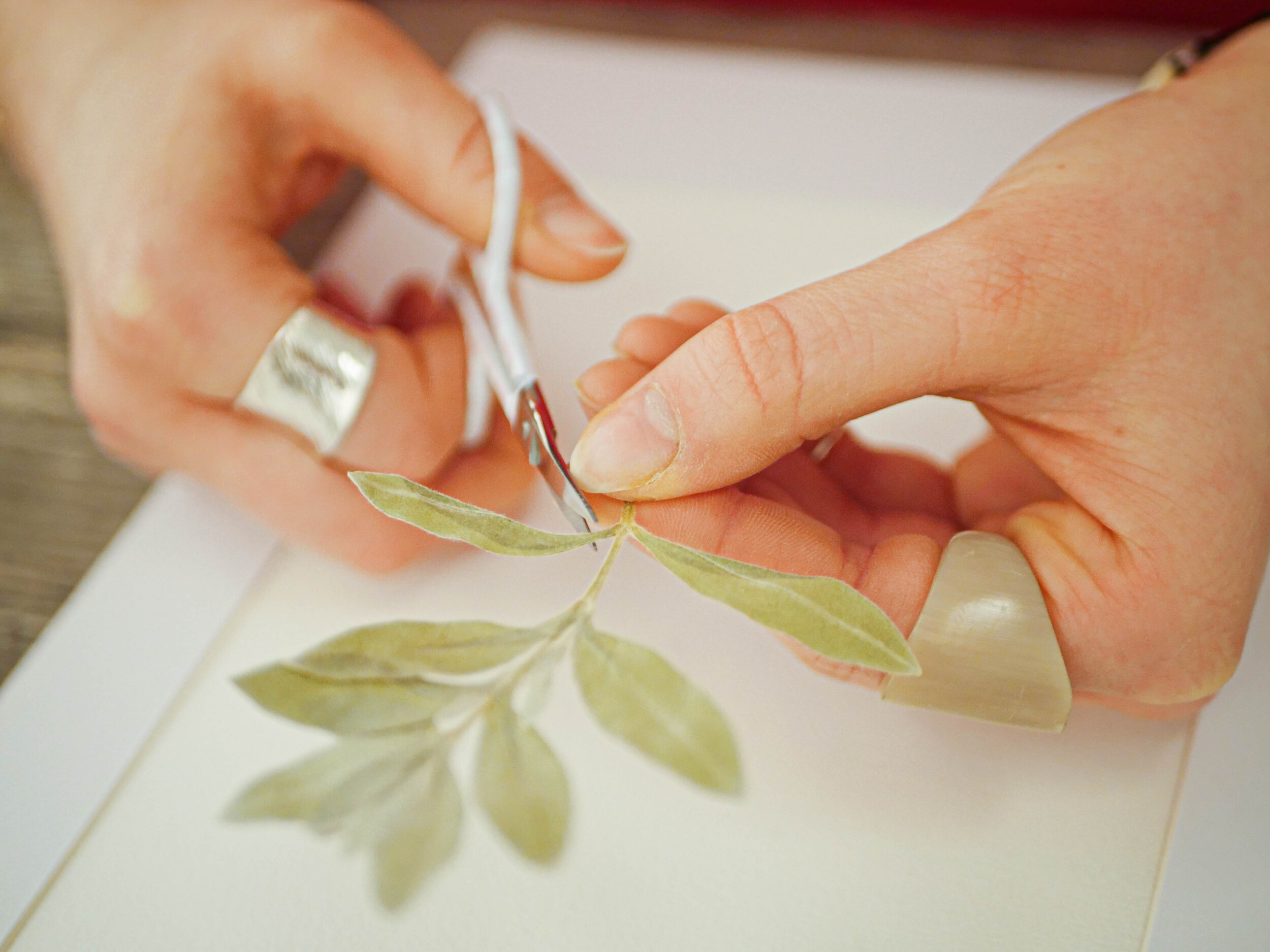 Wecandoo - Créez votre herbier avec Gabrielle - Image n°1